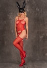 Livco Corsetti Amrin 6